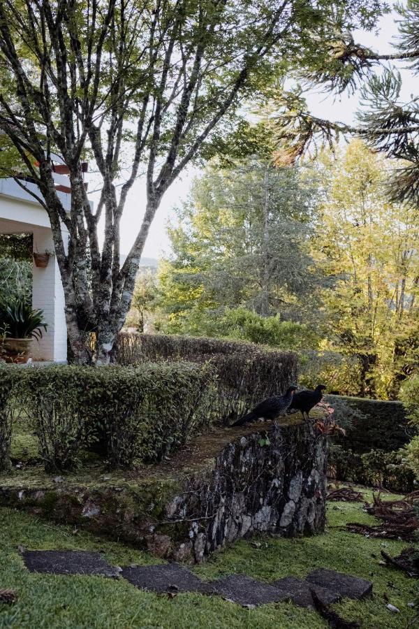 Cabana Mimosa Monte Verde (Minas Gerais) Exterior foto